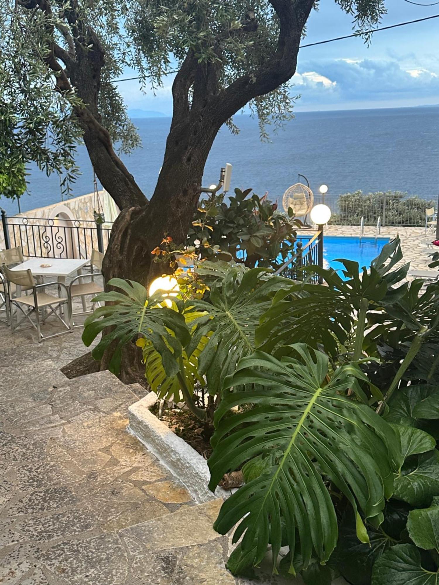 Vladimiros Apartments バルバティ エクステリア 写真
