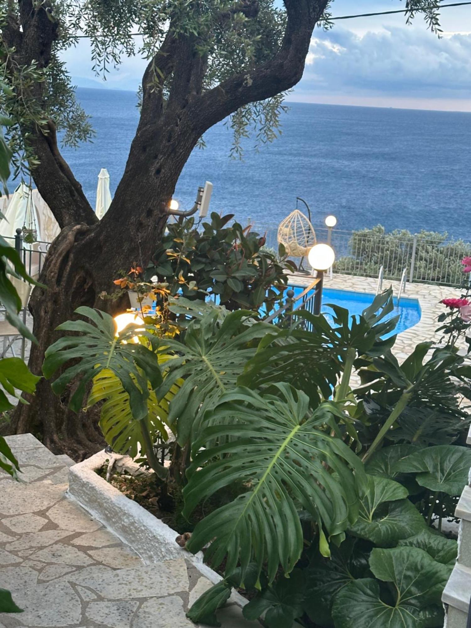 Vladimiros Apartments バルバティ エクステリア 写真